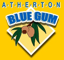 Atherton Blue Gum - Coogee Beach Accommodation
