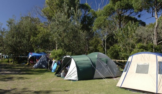 Booderee National Park: Cave Beach Camping Area - Coogee Beach Accommodation