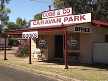 Cobb  Co Caravan Park - Coogee Beach Accommodation
