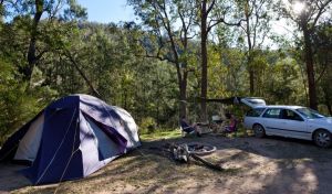 Deua River campgrounds - Deua - Coogee Beach Accommodation