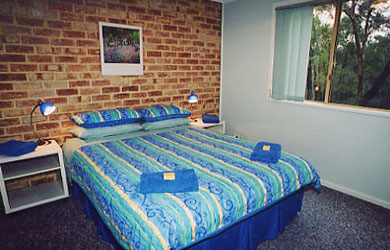 Silent Grove Cottage - Coogee Beach Accommodation