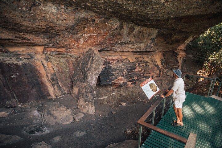Kakadu National Park Wildlife and Ubirr Rock Art Tour from Darwin City - Coogee Beach Accommodation